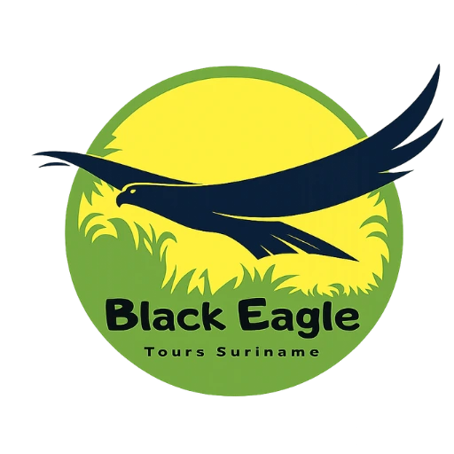 black-eagle-tours-logo